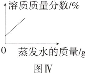 蒸发水的质量g图IV