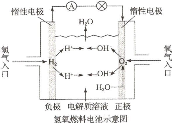 负极电解质溶液正极氢氧燃料电池示意图