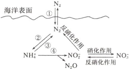 0硝化作用NONHNO反硝化作用