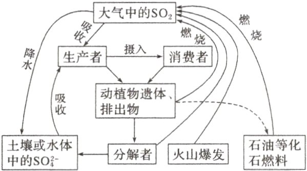 土或水体石等化分解者火山爆发