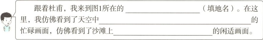 忙碌画面仿佛看到了沙滩上的闲适画面