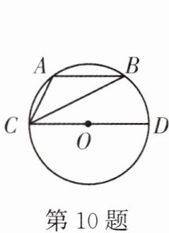 第10题