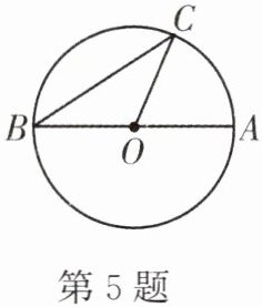 第5题