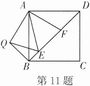 第11题