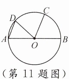 第11题图