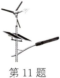 第11题