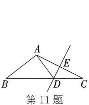 第11题