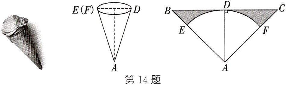 第14题