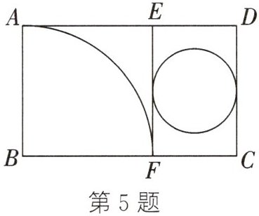 第5题