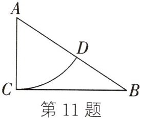 第11题