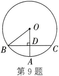 第9题