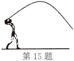 第15题