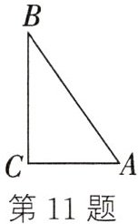 第11题