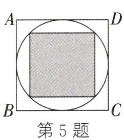 第5题