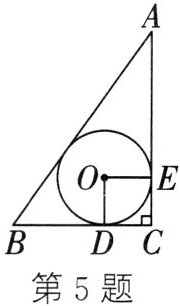第5题