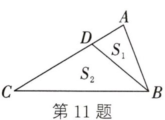 第11题