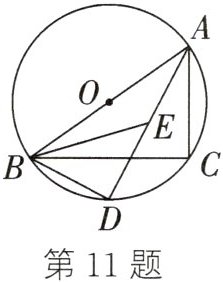 第11题