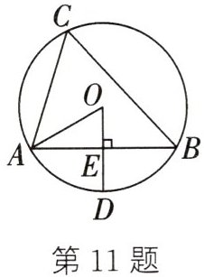第11题