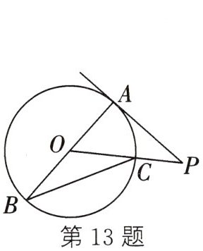 第13题