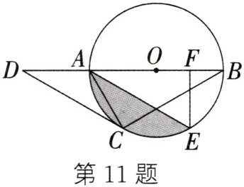 第11题