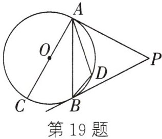 第19题