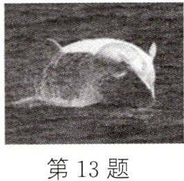 第13题