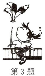 第3题