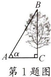 第1题图