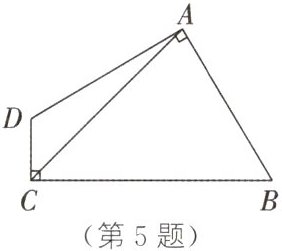 第5题