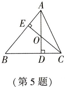 第5题