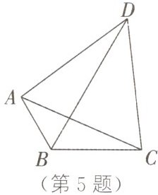 第5题