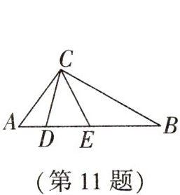 第11题