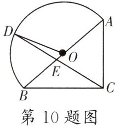 第10题图