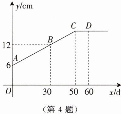 第4题