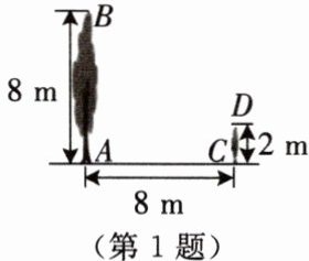 第1题