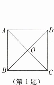 第1题