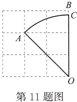 第11题图