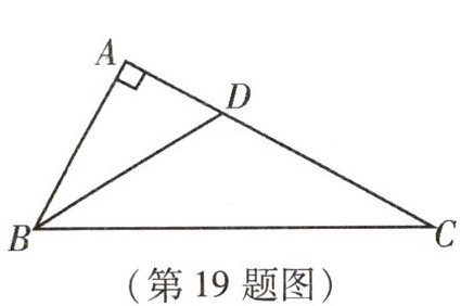 第19题图