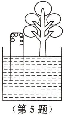 第5题
