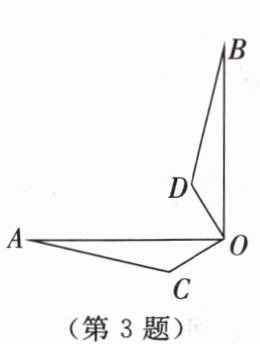 第3题