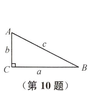 第10题