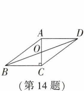 第14题