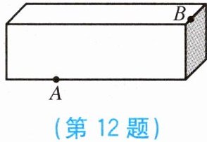 第12题