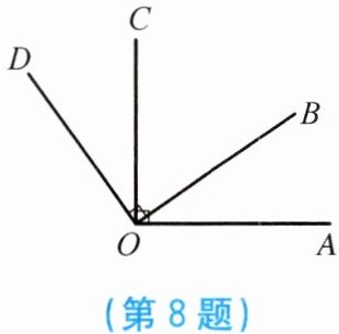 第8题