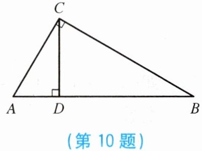 第10题