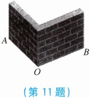 第11题