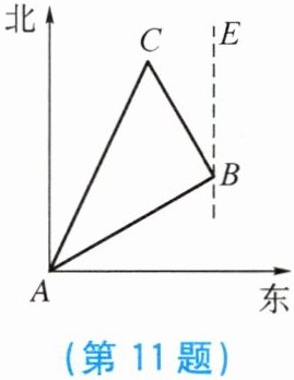 第11题