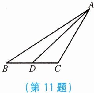 第11题