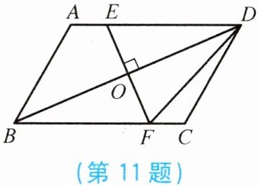 第11题