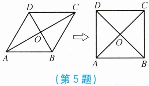 第5题